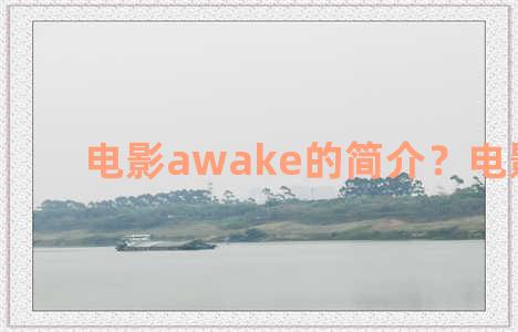 电影awake的简介？电影 awake